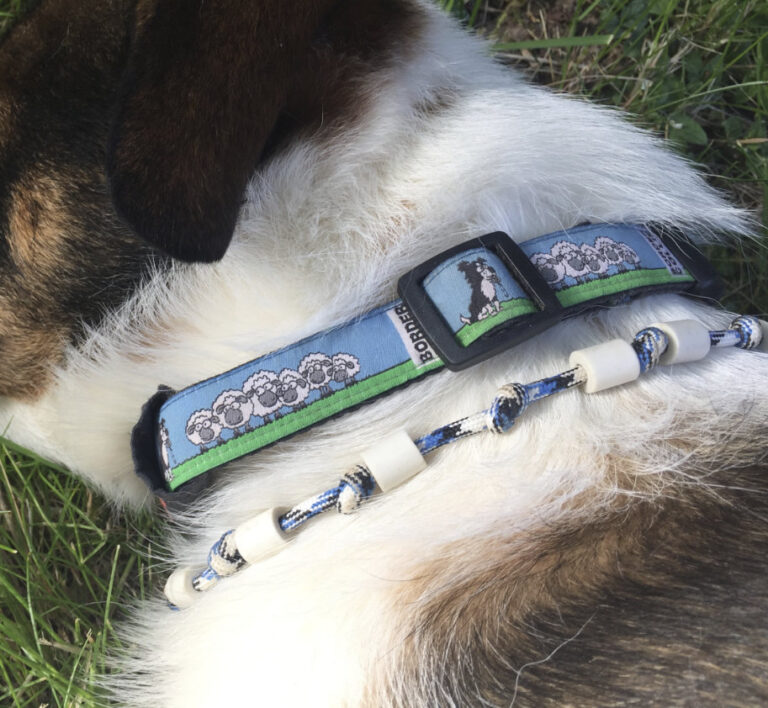 halsbänder aus paracord Paracord Hundehalsband mit Gravur auf Schnalle main image 0